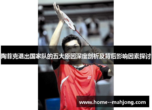 陶菲克退出国家队的五大原因深度剖析及背后影响因素探讨